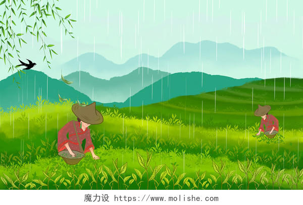 谷雨采茶茶山采茶女春雨绵绵自然清新绿色氛围背景插画谷雨茶插画